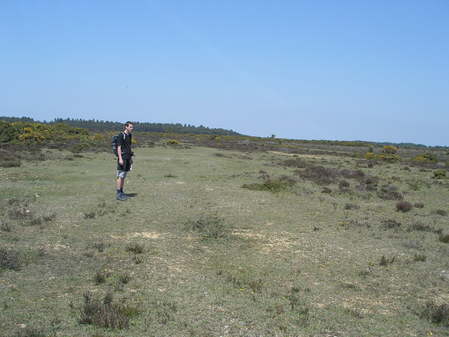 Runway v Beaulieu